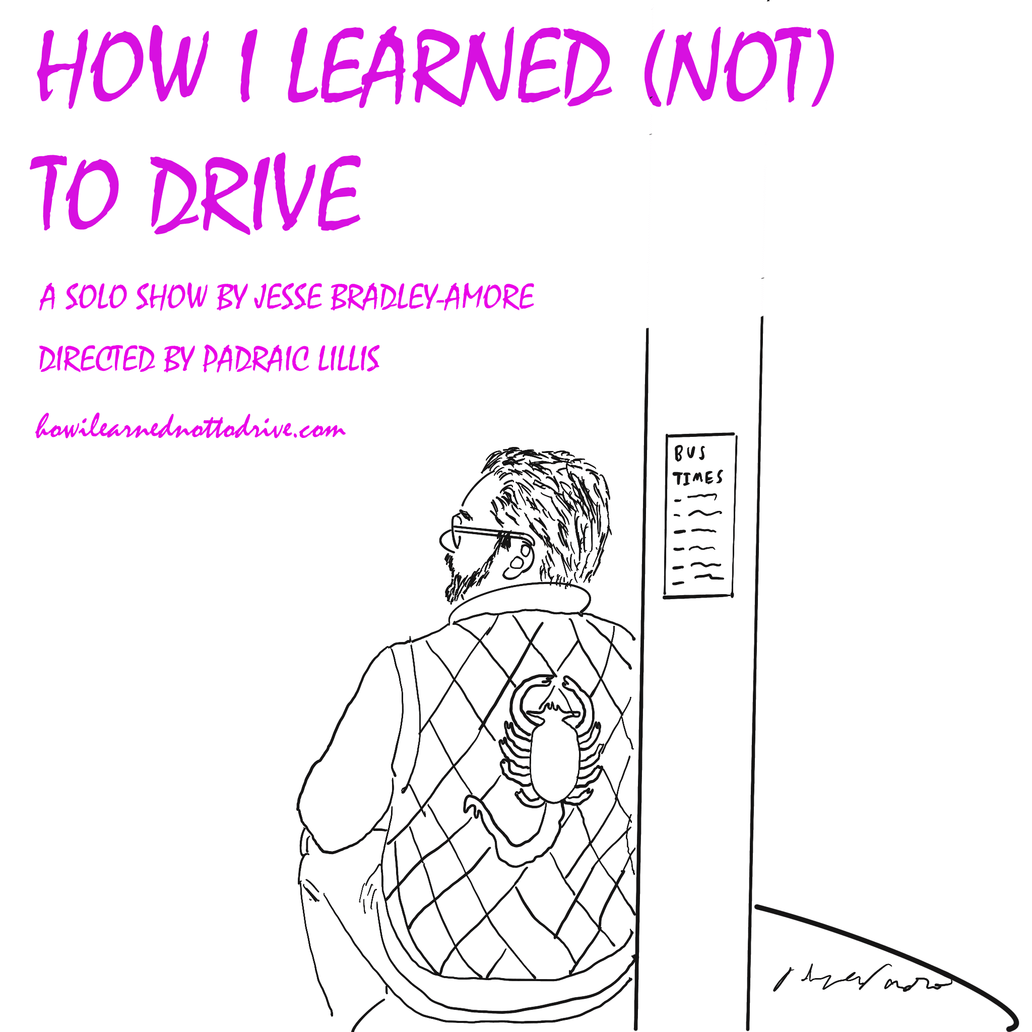How I Learned (NOT) To Drive