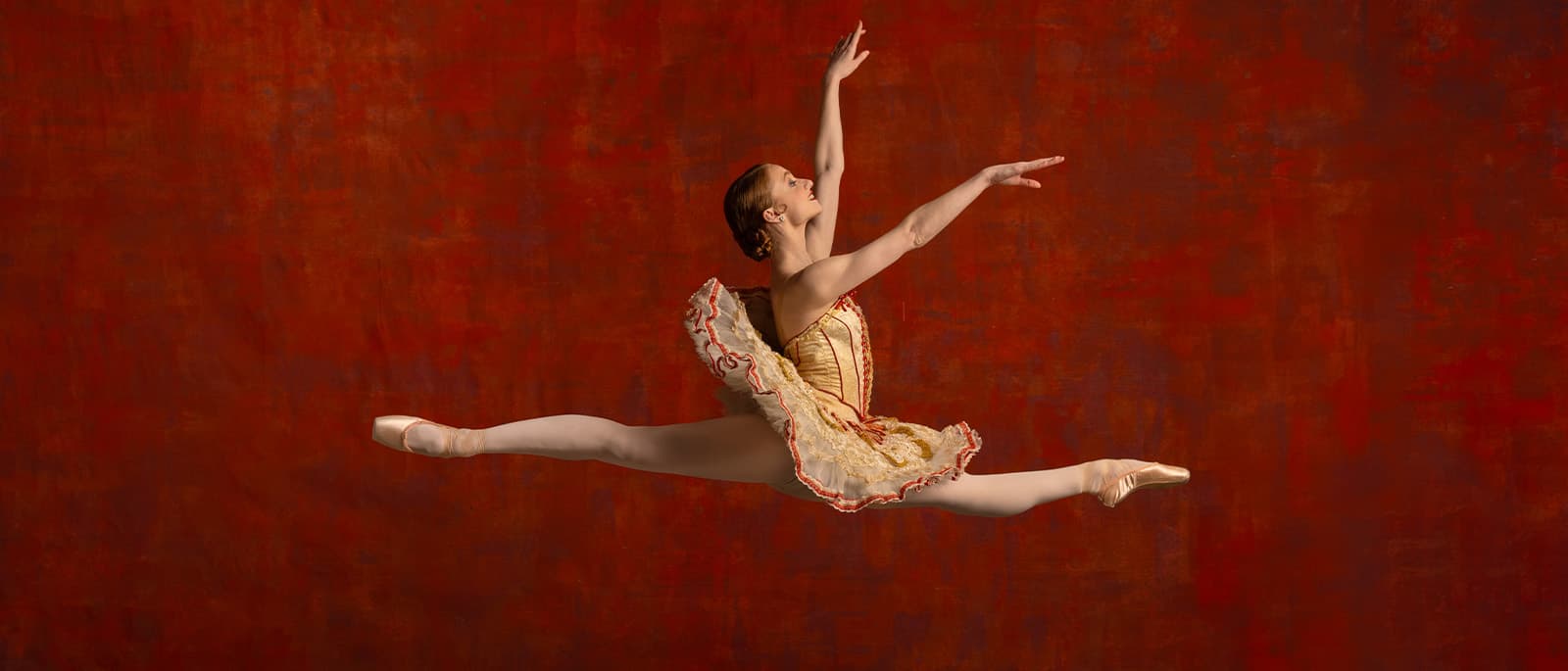 Special Guest Artist Evening