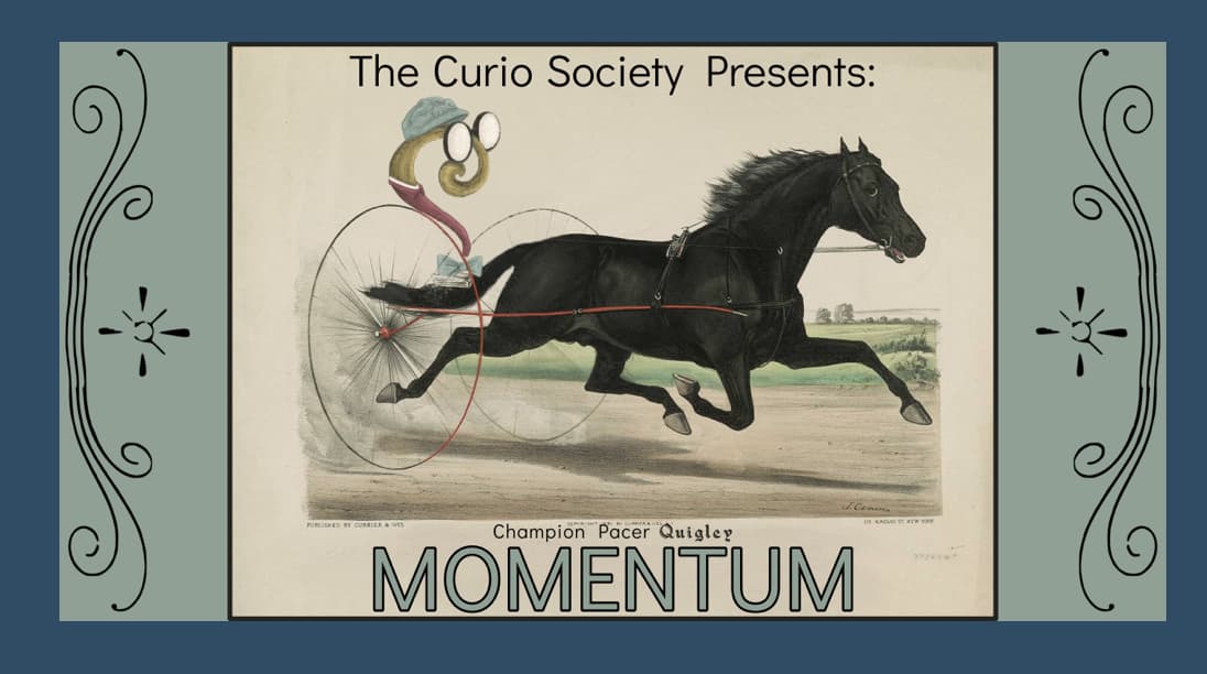 CURIO SOCIETY - MOMENTUM