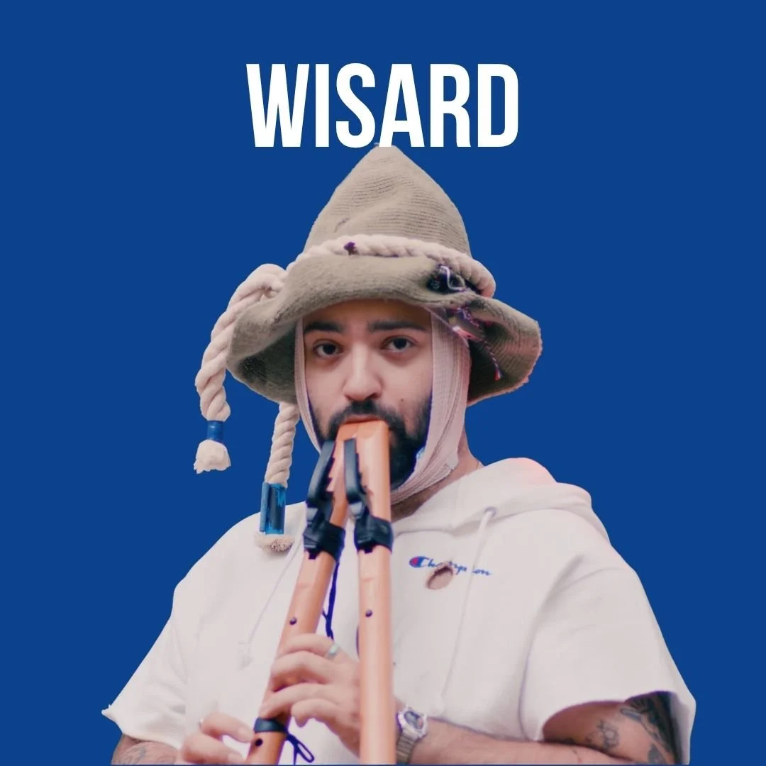 WISARD